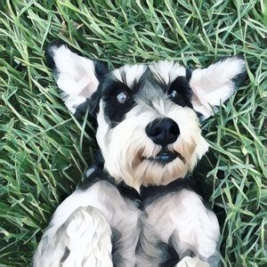 Meet your Posher, Haley